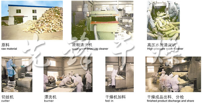 DWC系列脫水蔬菜帶式干燥機(jī) DWC系列脫水蔬菜帶式干燥機(jī)